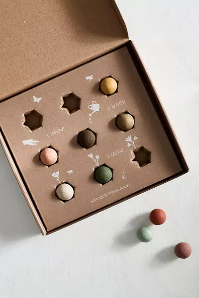 Terrain Seed Bomb Gift Set In Multicolor