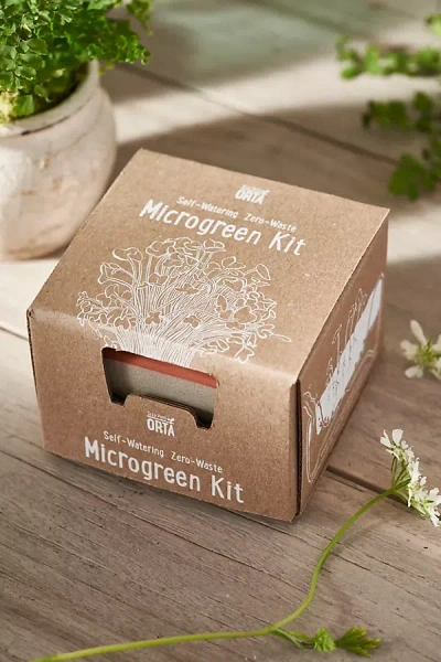 Terrain Self-watering Microgreens Kit, Green In Neutral