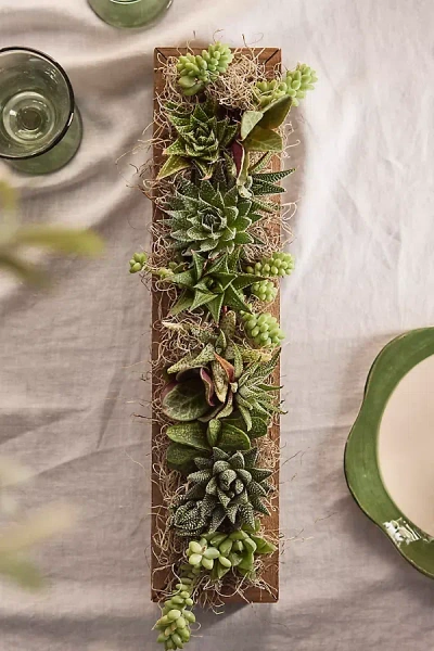 Terrain Shade-loving Succulent Centerpiece Planter In Brown