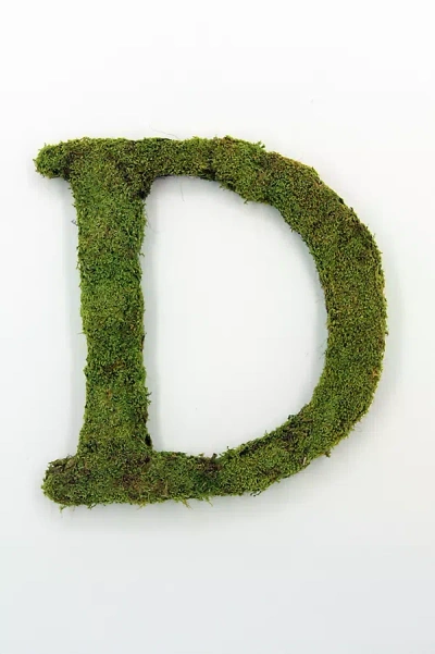 Terrain Sheet Moss Letter