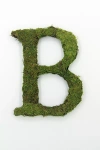 Terrain Sheet Moss Letter