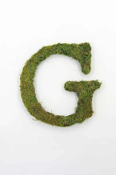 Terrain Sheet Moss Letter