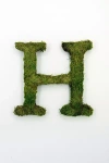 Terrain Sheet Moss Letter