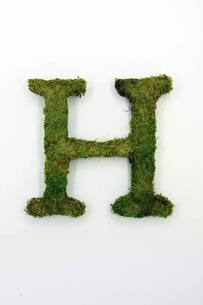 Terrain Sheet Moss Letter