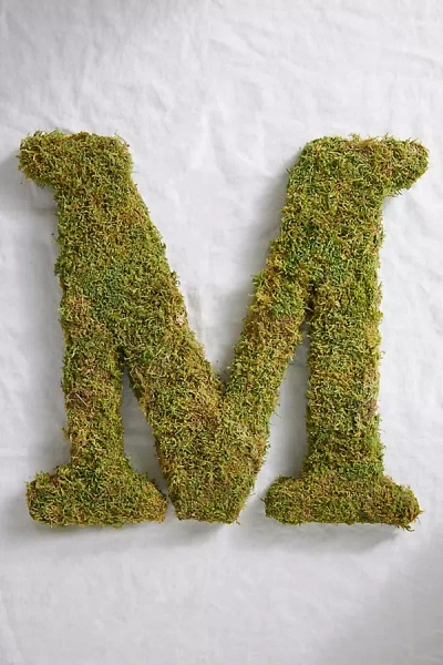 Terrain Sheet Moss Letter