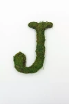 Terrain Sheet Moss Letter