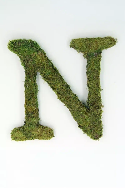 Terrain Sheet Moss Letter
