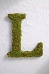 Terrain Sheet Moss Letter