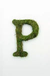 Terrain Sheet Moss Letter