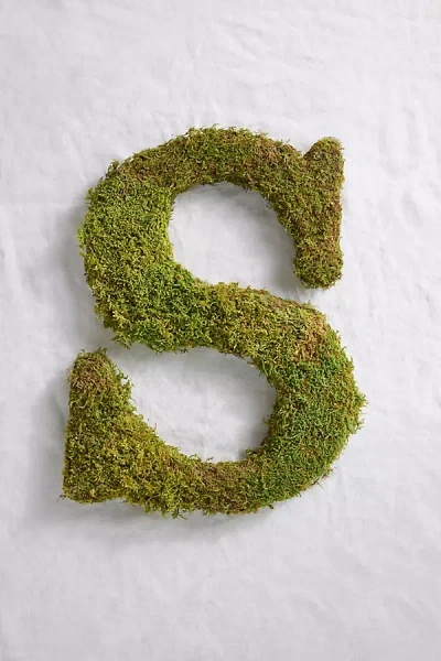 Terrain Sheet Moss Letter