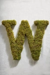 Terrain Sheet Moss Letter