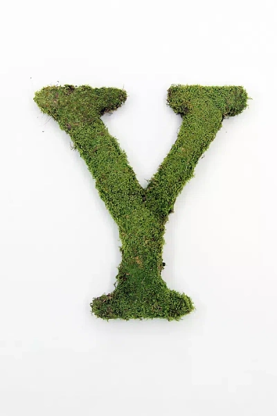 Terrain Sheet Moss Letter