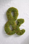 Terrain Sheet Moss Letter
