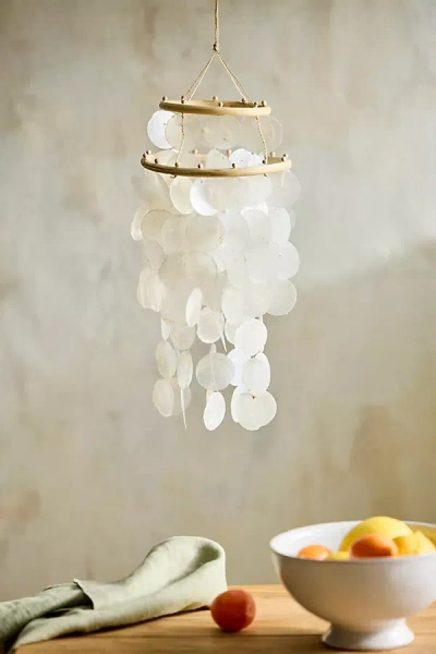 Terrain Shell Disk Chandelier, White