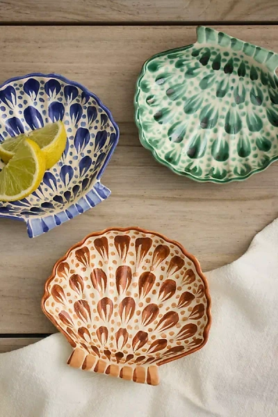 Terrain Shell Terracotta Shell Dish