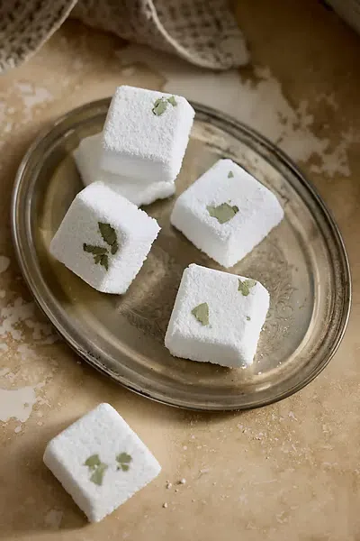 Terrain Shower Steamers, Eucalyptus + Peppermint In Multicolor