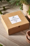 Terrain Sixie Self Watering Seed Pot, Beige