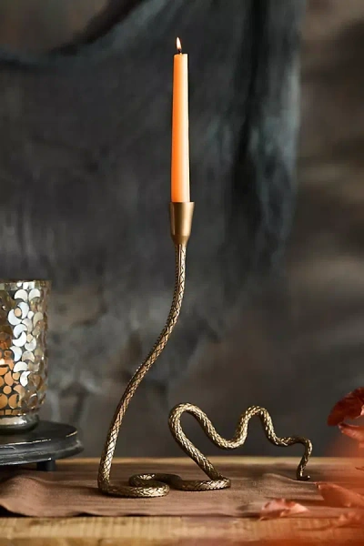 Terrain Slithering Snake Taper Holder In Gold