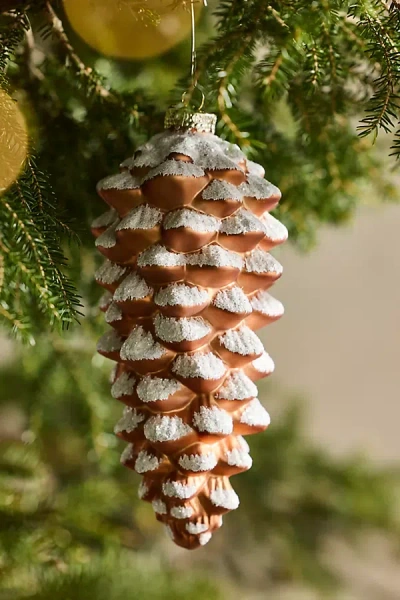 Terrain Snowy Pinecone Glass Ornament In Brown
