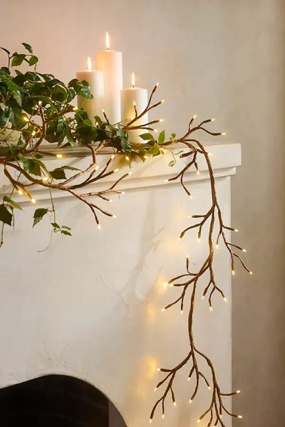 Terrain Solar Led Ivy Branch Lights In Green