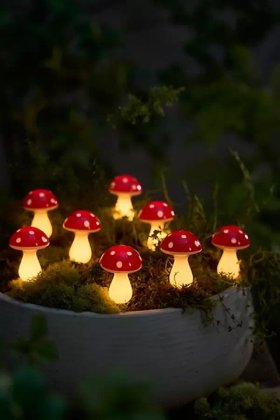 Terrain Solar Led Mushroom Stake Light Strand In Multi