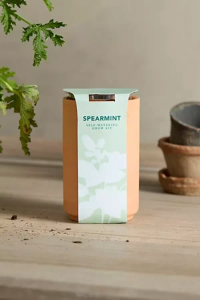 Terrain Spearmint Self-watering Grow Kit