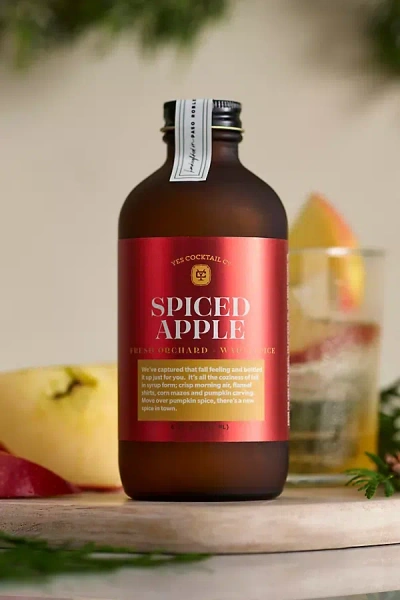 Terrain Spiced Apple Cocktail Syrup In Multi