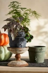 Terrain Spider Stoneware Pot In Multi