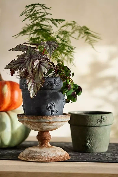 Terrain Spider Stoneware Pot In Multi