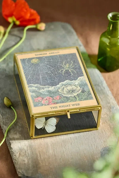 Terrain Spider Web Divining Box In Multi