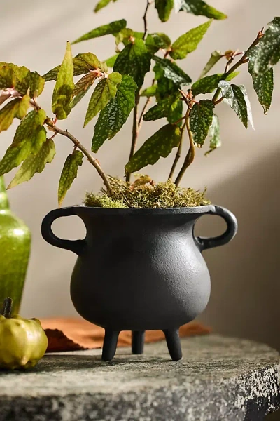 Terrain Spooky Cauldron Planter, Small