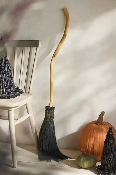Terrain Spooky Grass Broom In Multi