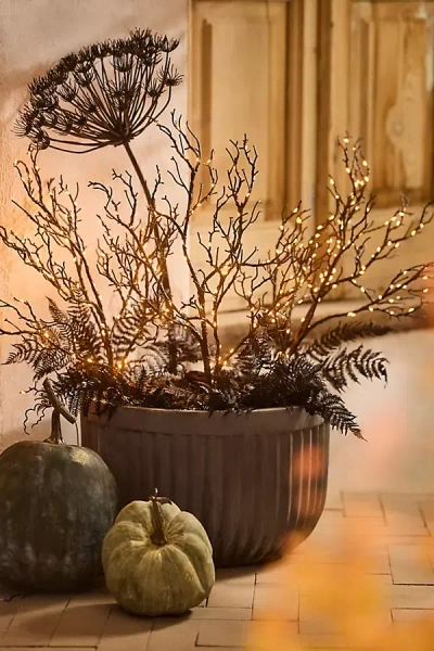 Terrain Spooky Illuminated Branch Stakes, Set Of 3