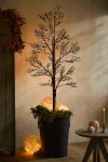 Terrain Spooky Led Lit Tree
