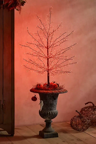 Terrain Spooky Orange Led Lit Tree, 4'