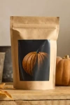 Terrain Squash Seed Starts Kit