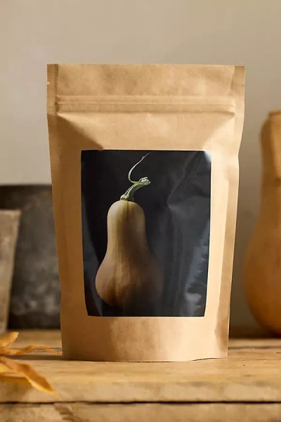 Terrain Squash Seed Starts Kit In Brown