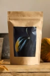 Terrain Squash Seed Starts Kit In Brown