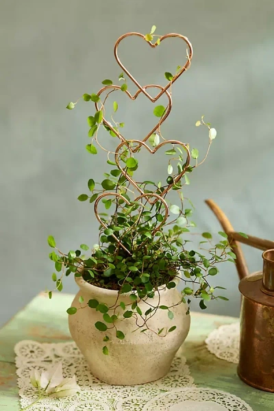 Terrain Stacked Hearts Copper Trellis In Brown