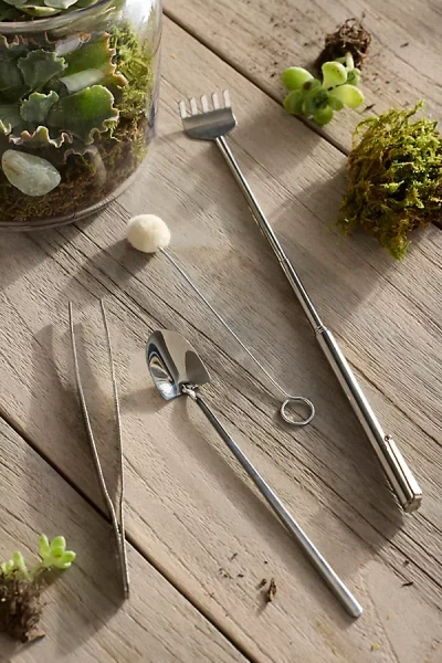 Terrain Stainless Steel Terrarium Tool Set