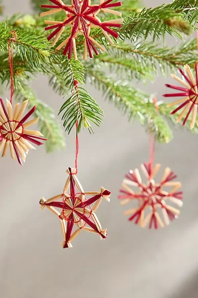 Terrain Star + Snowflake Straw Ornaments, Set Of 6 In Red