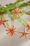 Terrain Star + Snowflake Straw Ornaments, Set Of 6 In Red