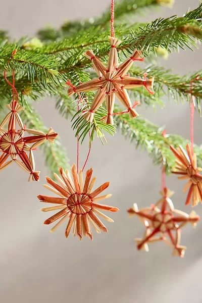 Terrain Star + Snowflake Straw Ornaments, Set Of 6