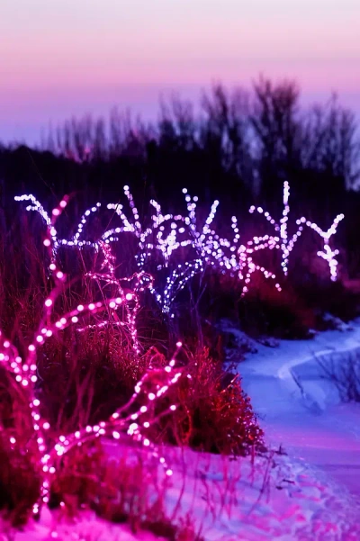 Terrain Stargazer Color-changing Twig Lights In Multi