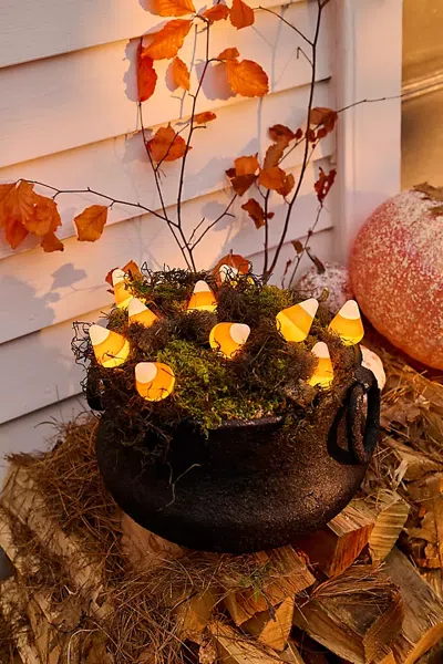 Terrain Stargazer Garden Lights, Set Of 21 Bulbs, Candy Corn In Brown