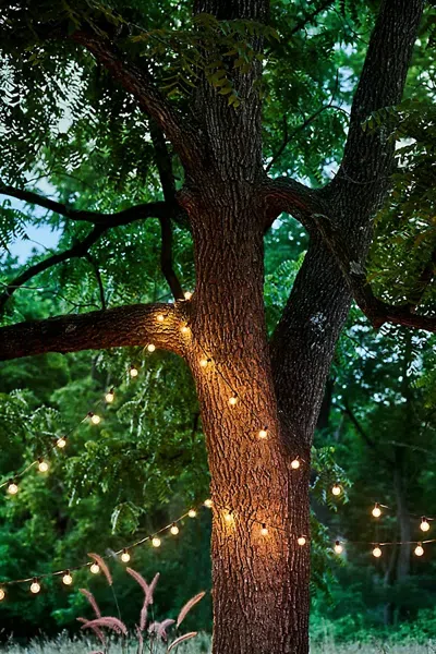 Terrain Stargazer Garden Lights Set Of 21 Bulbs, Clear In Green