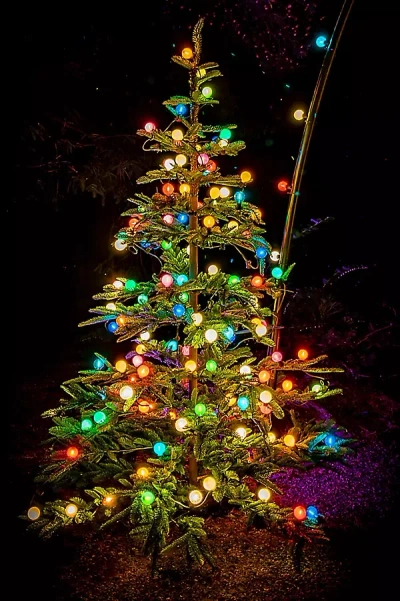 Terrain Stargazer Garden Lights, Set Of 21 Bulbs, Yesteryear In Multi