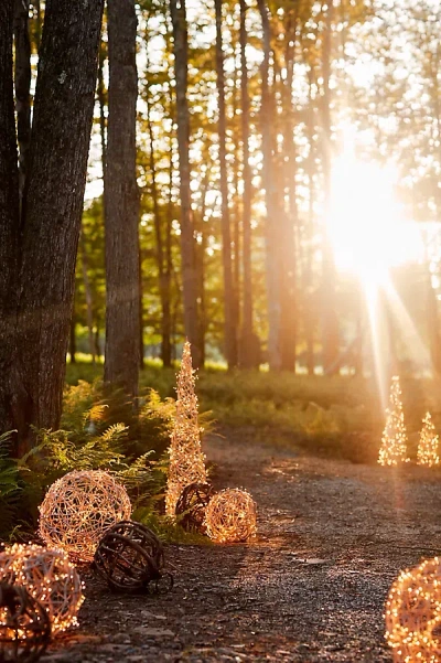 Terrain Stargazer Nature Effects Illuminated Vine Sphere