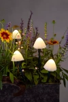 Terrain Stargazer Nature Effects Solar Mushroom Lights