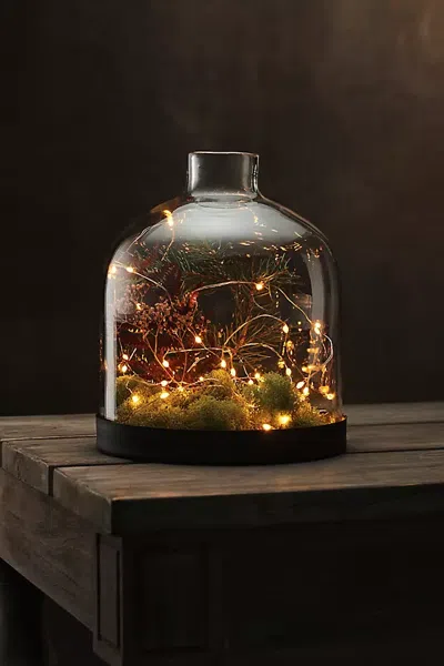 Terrain Stargazer Rose Gold Twine Lights In Black
